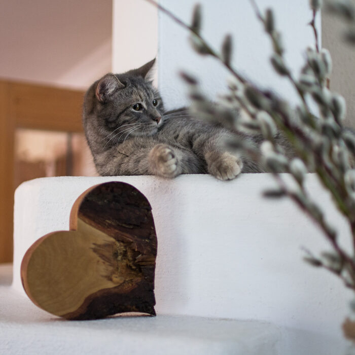 Herz aus Holz Geschenkidee aus Holz