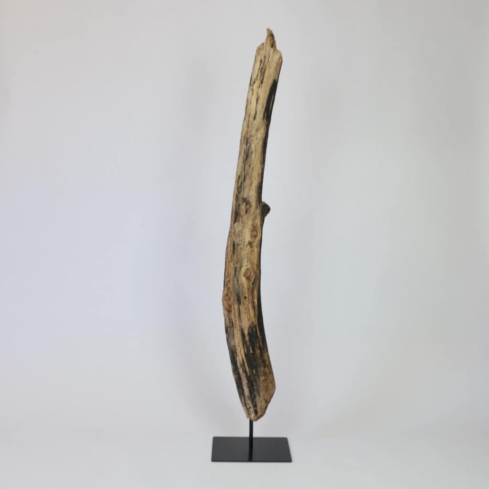 Schwemmholzskulptur als schöne Ergänzung zum modernen Wohnstil