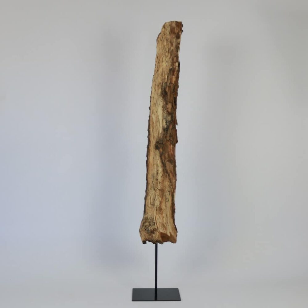 Holzskulptur aus Schwemmholz mit Rinde
