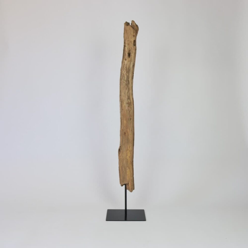 Schwemmholzskulpturen als Deko für moderne Wohnungen