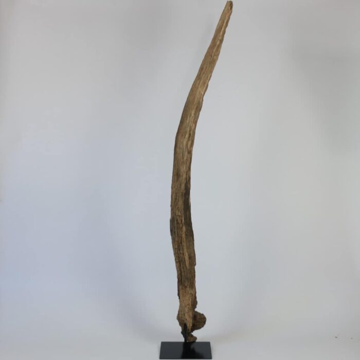 Treibholzskulptur - schöne Deko aus altem Holz auf Metallfuss präsentiert