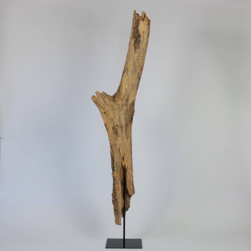 Deko aus Schwemmholz - Trebholzdekoration