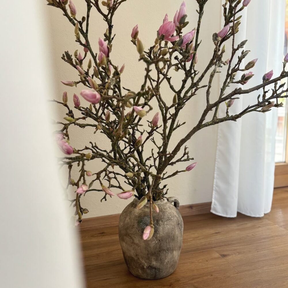 Zementvase mit Magnolienzweigen